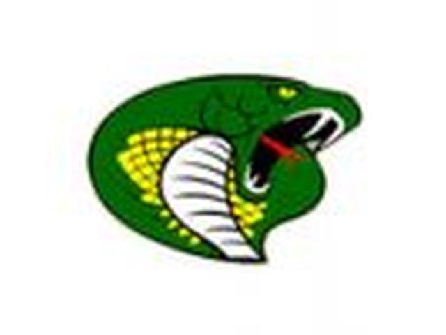 Jackson Heights School Cobra mascot